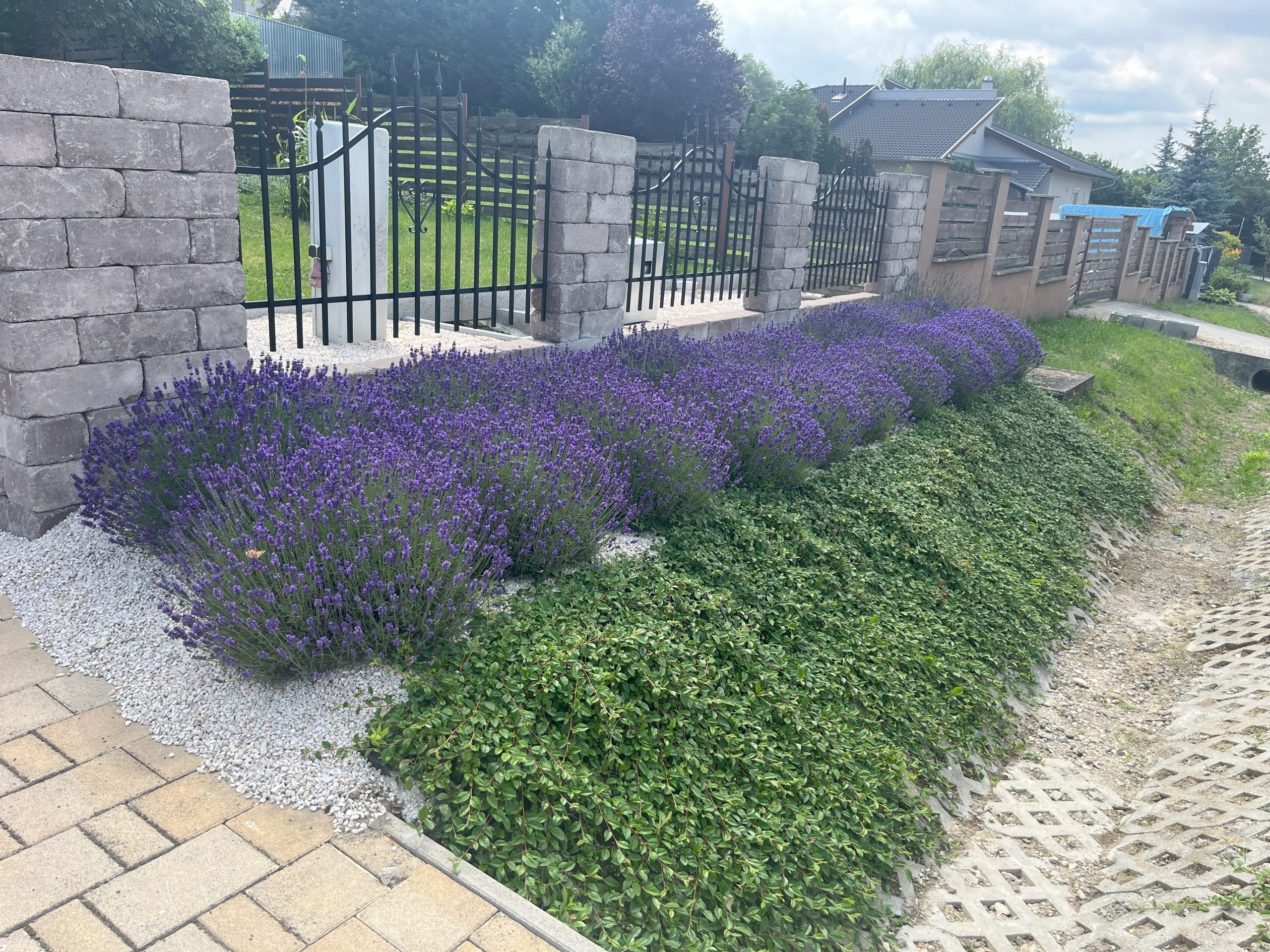 fence built from Barabás blocks, planting of lavender trees, cleaning of rainwater ditches